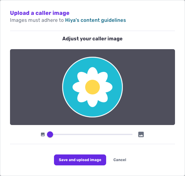 The image adjustment step, with the circular display area and the zoom control below it.